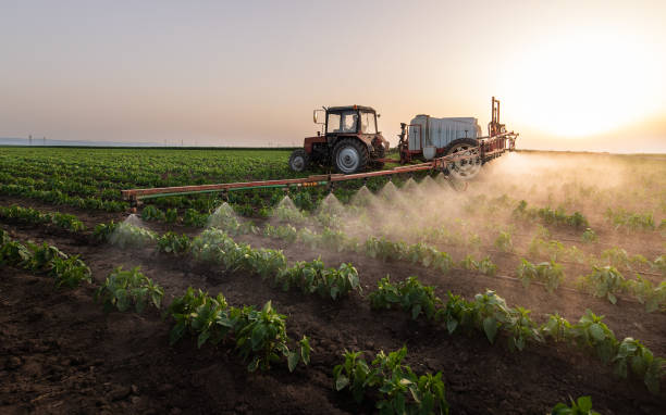 Best Cockroach Control Services  in Hlcrest, IL